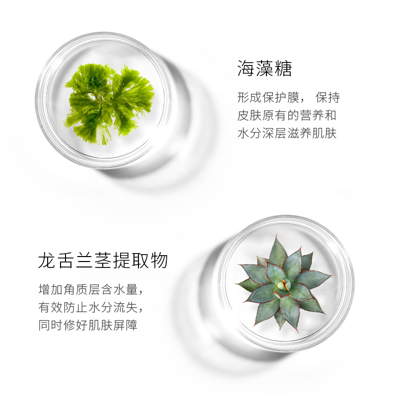 国货精品美妆特卖欧翎ORLR小白瓶熊果苷原液15ml亮肤滋润保湿补水焕肤白面部精华液1