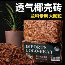 Orchid Earth Special Earth Coarse Coconut Shell Breathable Household Nourishment Native Flower Butterfly Lan Universal Desalinated Coconut Broccoli