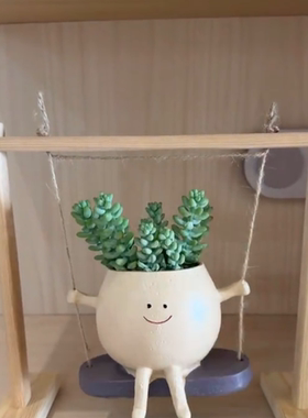 多肉花盆可爱笑脸秋千花盆个性装饰创意悬挂式水培花盆阳台装饰