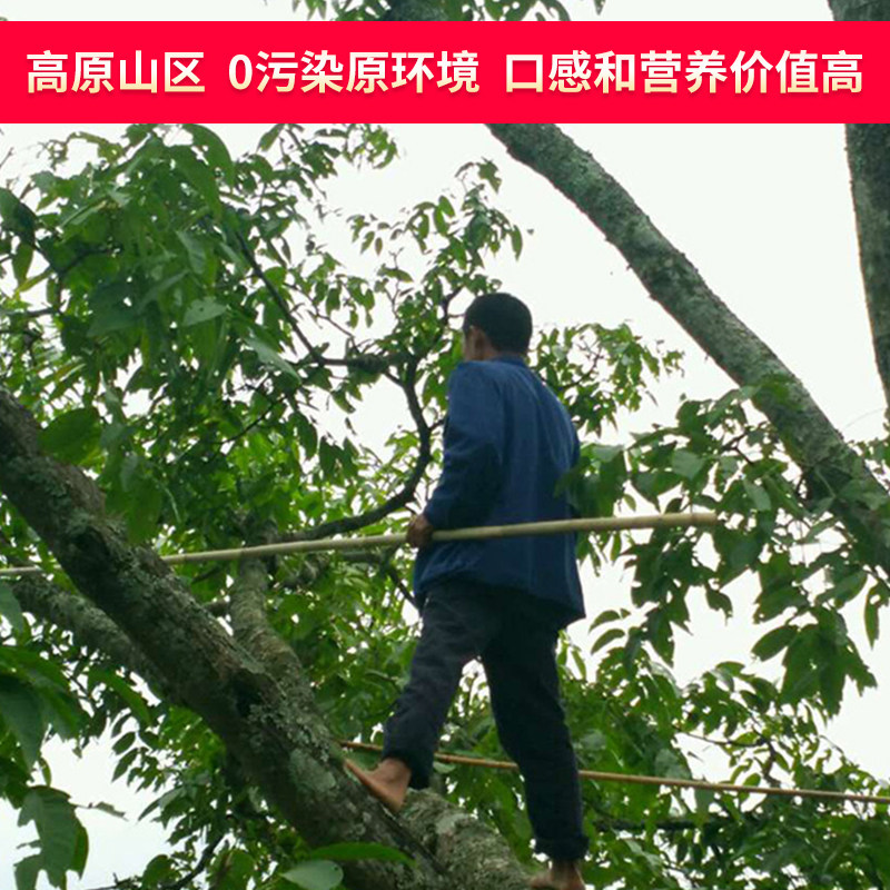 2019新货云南薄皮薄壳原味核桃仁 啦不啦纸皮/薄皮核桃