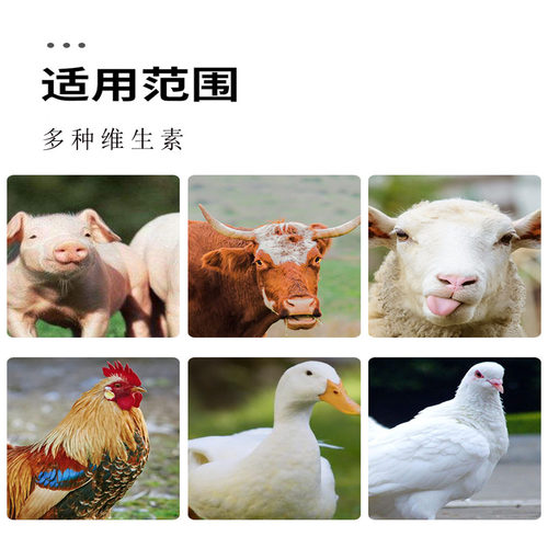 中粮膨化豆粕豆饼43蛋白饲料原料养殖猪牛羊鸡鸭鹅兽用50公斤包邮 - 图2