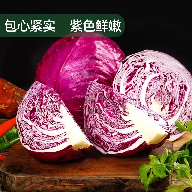 2024新鲜紫甘蓝5斤紫包菜紫色球生菜红椰菜西餐蔬菜轻食沙拉食材