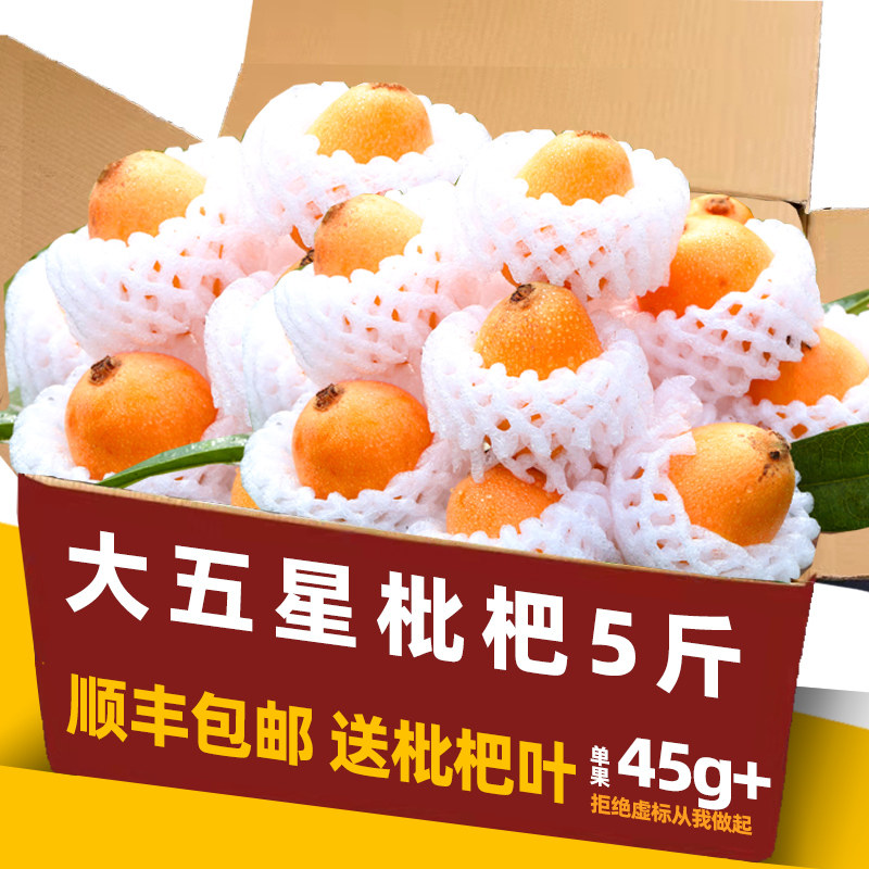 现货顺丰大五星枇杷新鲜5斤水果当季整箱果肉非攀枝花米易批把果