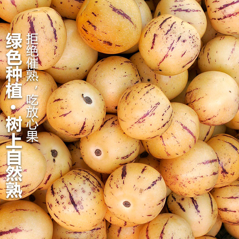 新鲜石林人参果新鲜云南圆果人生果娃娃果七彩黄肉水果整箱树上熟