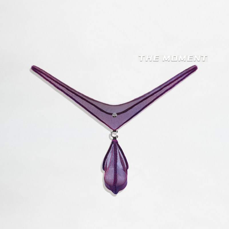 原创炫紫变色半透明鼻环中低腰深V丁字裤情设计师款色25新款男士,淘宝优惠券,粉丝福利购,淘宝优惠卷