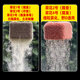 LaoG silver carp and bighead carp cube bait atomizes well