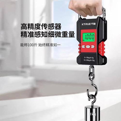 高精度防水手提电子秤精准便携式手拎随身小型称鱼器钩家用弹簧称 - 图0