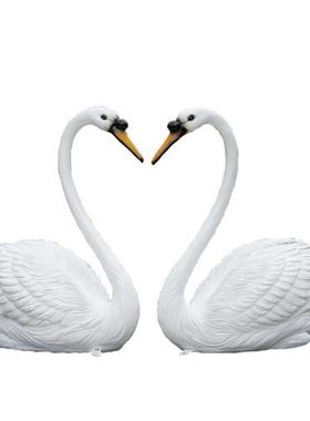 户外仿真天鹅雕塑玻璃钢园林景观庭院池塘草坪动物美陈装饰品摆件