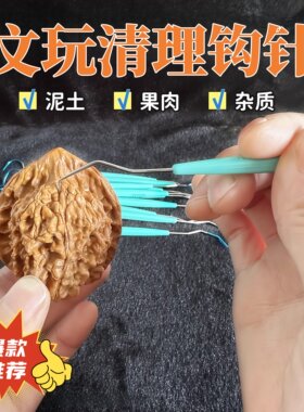 不锈钢双头钩针文玩工具核桃橄榄金刚菩提挑针清理剔针细针钢丝刷