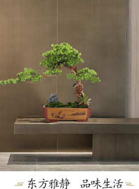 新中式风花艺售楼走廊迎客松树