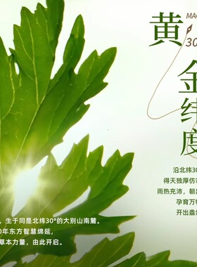 【补贴15%】倍轻松艾灸盒子明火艾灸罐热敷艾灸器具家用随身