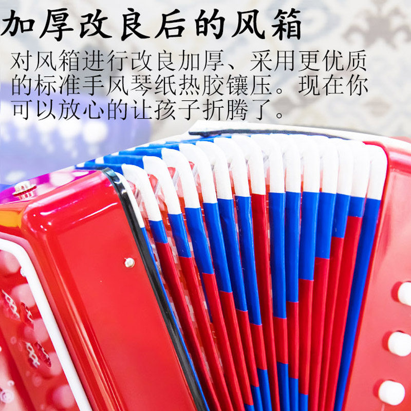 男孩初学者音乐玩具乐器小手风琴 升源顺母婴玩具小提琴/手风琴