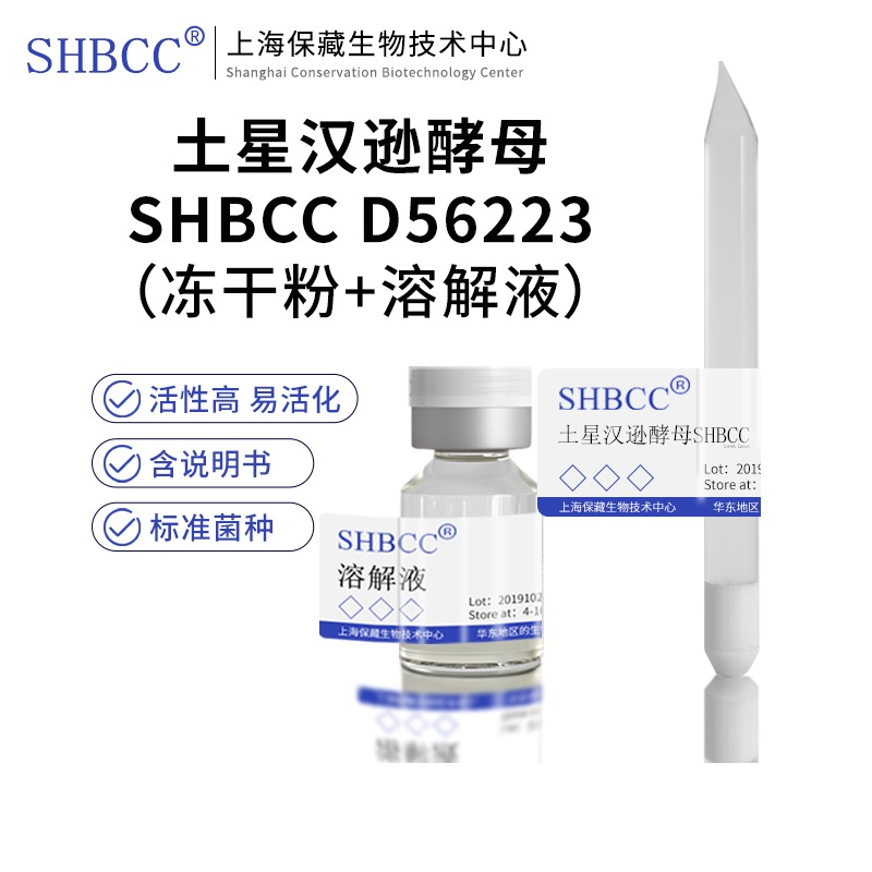 土星汉逊酵母SHBCC D56223非模式菌株麦芽汁琼脂培养基25℃培养