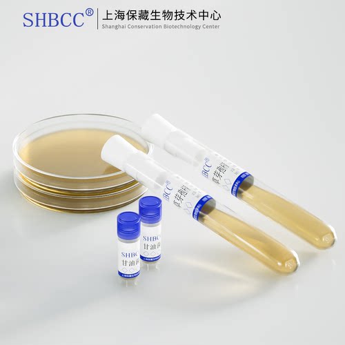 枯草芽孢杆菌ATCC6633二代三代斜面试管甘油菌营养琼脂培养基活化 - 图1