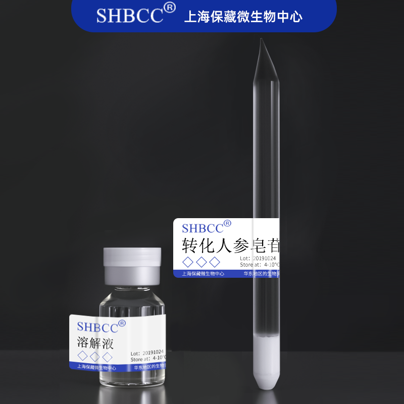 转化人参皂苷黄杆菌SHBCC D71207模式菌株PYG培养 30℃培养冻干物 - 图1