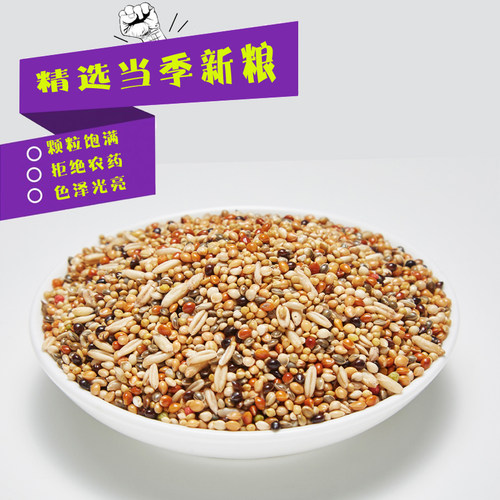 虎皮鹦鹉专用粮食 鸟食饲料 云斑粮食五谷带壳小米鸟活体用品 - 图1