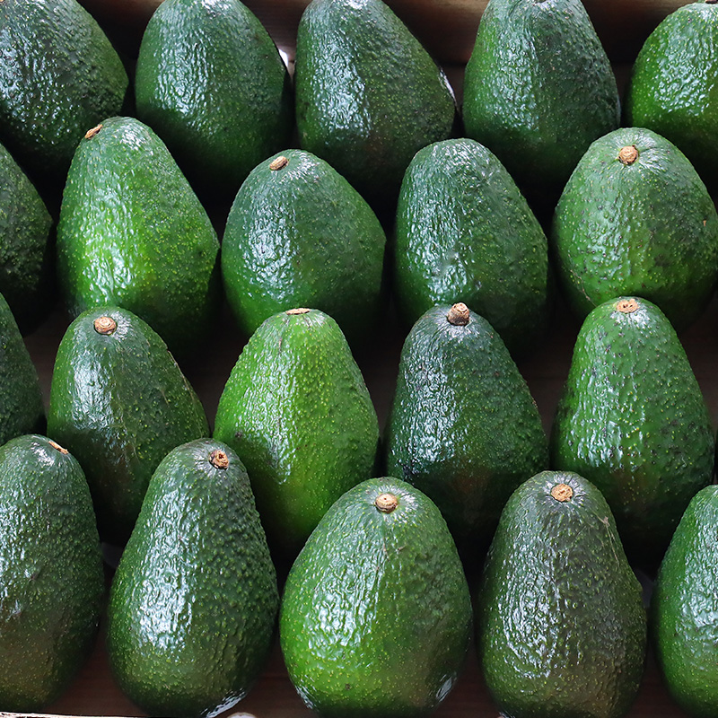 墨西哥牛油果水大果新鲜进口巨无霸宝宝辅食鳄梨10个速发avocado - 图0