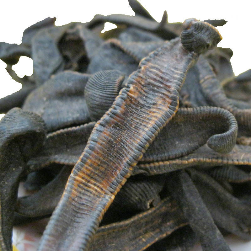 大水蛭干 干蚂蝗正品优质中药材100g包邮日本医蛭 熟炙金边水蛭粉,淘宝优惠券,粉丝福利购,淘宝优惠卷