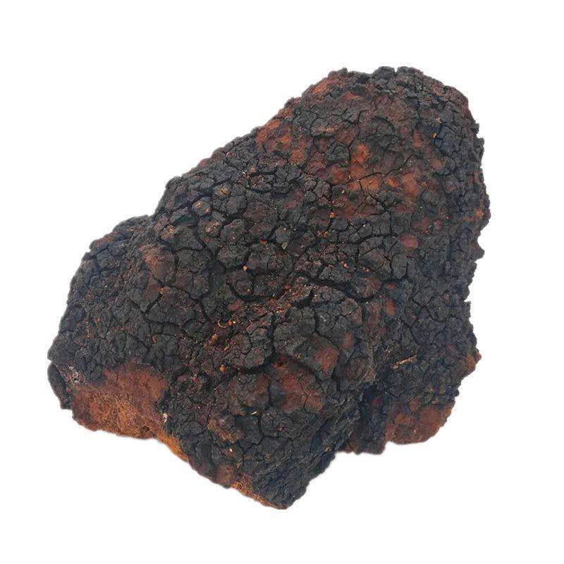 桦树茸整块桦树耳白桦白华茸白华蓉50茸茸斤耳茶桦树年5白桦龙,淘宝优惠券,粉丝福利购,淘宝优惠卷