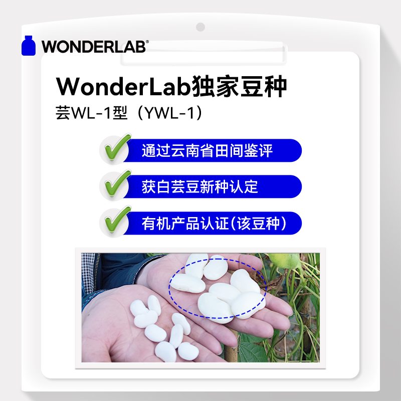 WonderLab白芸豆咀嚼压片糖果非酵素膳食纤维碳水救星官方旗舰店 - 图2