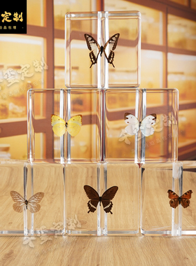 蝴蝶标本墙旋转装置亚克力标本定制树脂标本工艺品滴胶种子墙