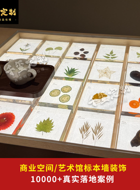植物树脂果实标本永生花墙面摆件
