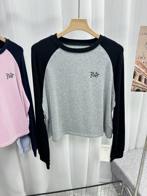 New for spring! Korean niche raglan sleeve T-shirt with color block letter embroidery round neck long-sleeved sweatshirt short top