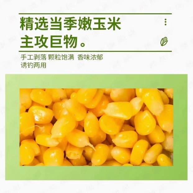 西部风玉米粒麦粒饵料窝料钓鱼打窝鲤鱼草鱼鳊鱼野钓水库钓饵1,淘宝优惠券,粉丝福利购,淘宝优惠卷