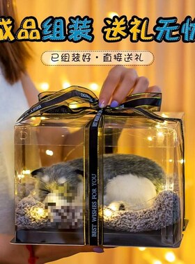 新生日礼物女生女孩子儿童闺蜜男朋友送给女朋友的高级小众女童男
