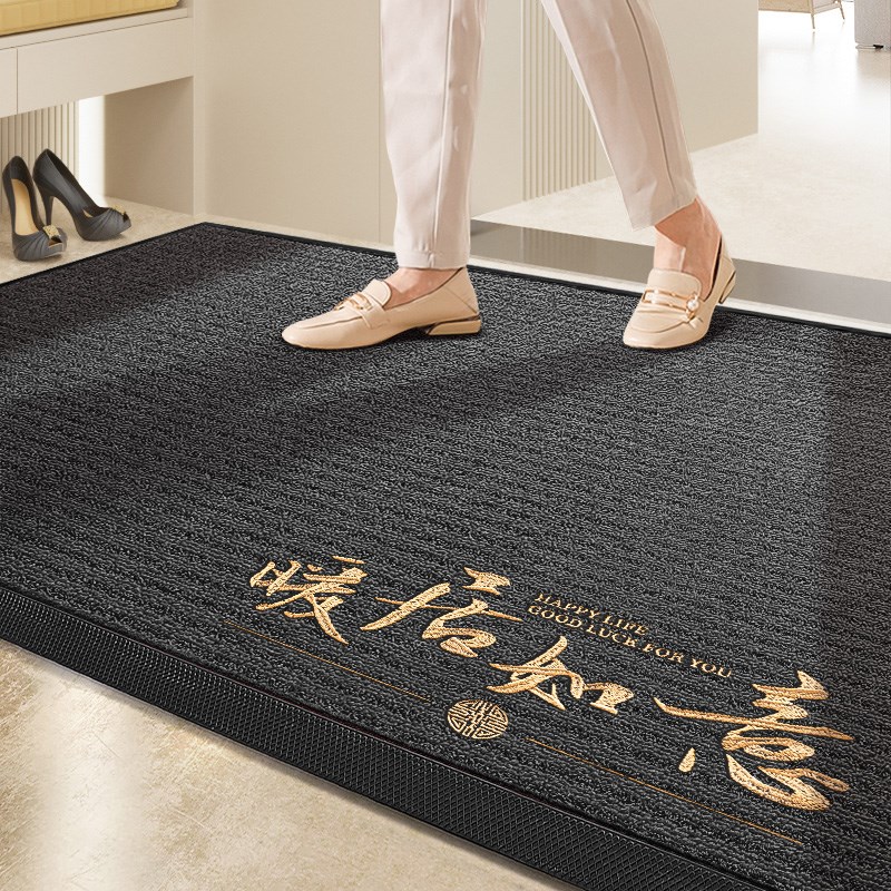 地垫入户门垫轻奢高级感耐脏除尘进门脚垫子玄关门口免洗防滑地毯 - 图1