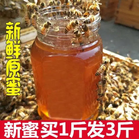 正品天然正宗椴树蜂蜜农家自产纯正野生百花洋槐枣花结晶土蜂蜜。 - 图1