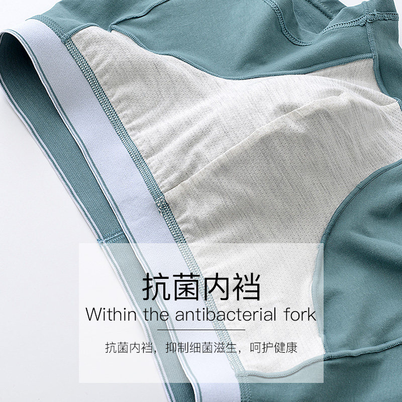 猫人纯棉抗菌平角四角裤青年短裤 猫人乾刚内裤
