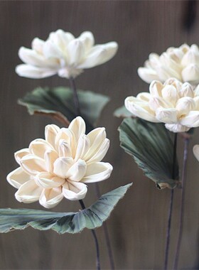 睡莲花手作通草干花禅意莲花莲蓬家居客厅落地花瓶插花花艺荷叶