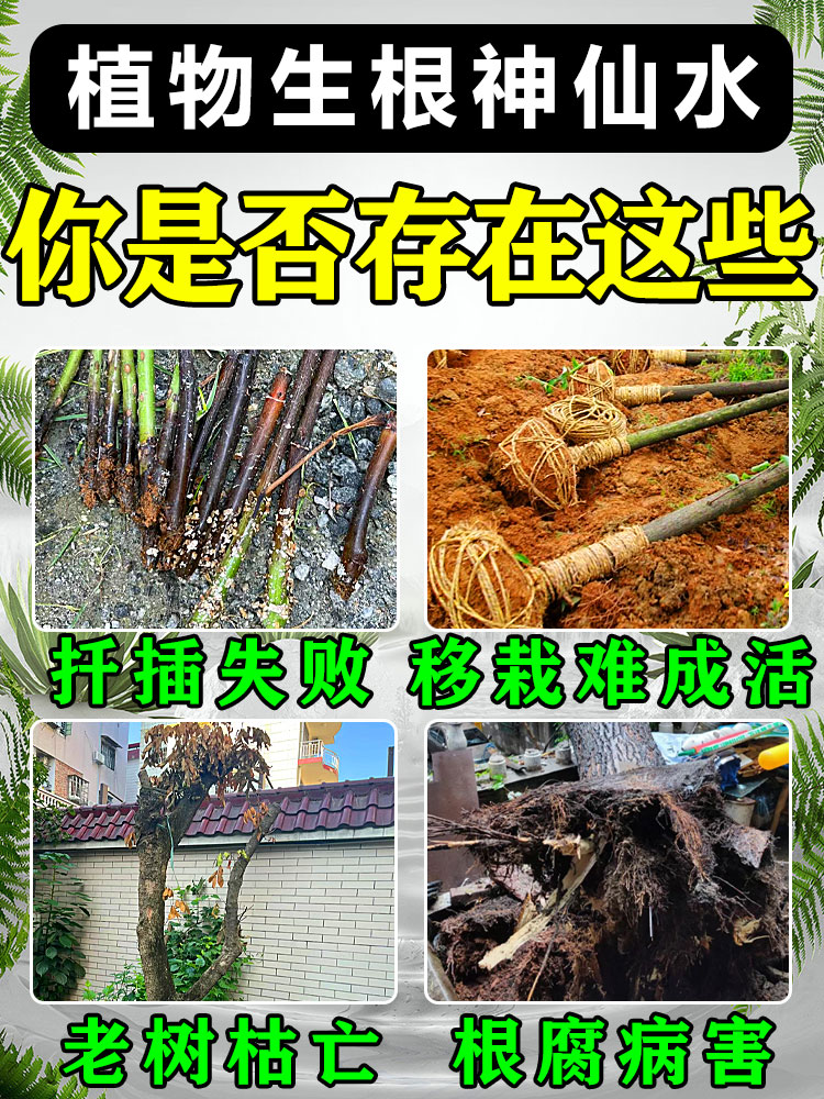 树木专用生根粉多灵菌大果树移栽扦插专用生根药水复活液枯树再生 - 图1