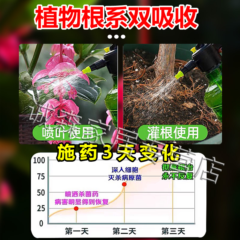 宝莲灯专用肥植物黄叶斑黑斑病药菌立清杀菌剂快速爆花开花营养液 - 图3