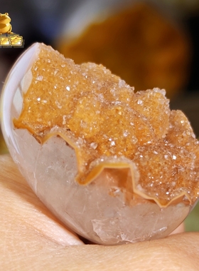 灵蟾晶舍｜黄金大牙软糖水晶龙蛋摆件手把件