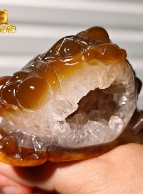 灵蟾晶舍｜红福齐天｜天然玛瑙水晶金蟾摆件招财聚财赚钱装饰139