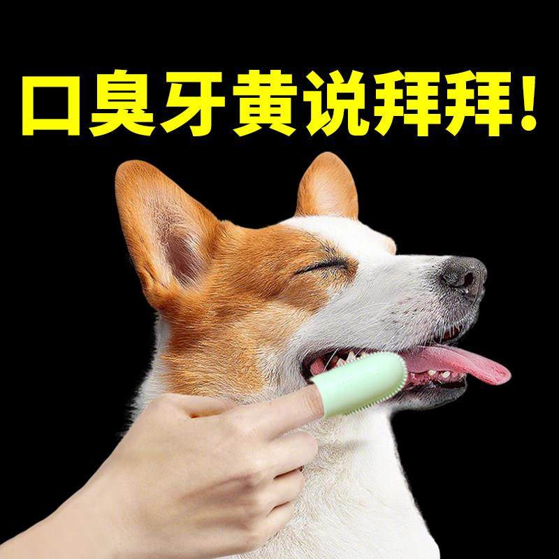 【宠物牙刷指套】猫咪专用牙刷宠物小型犬牙齿清洁工具狗狗口腔,淘宝优惠券,粉丝福利购,淘宝优惠卷
