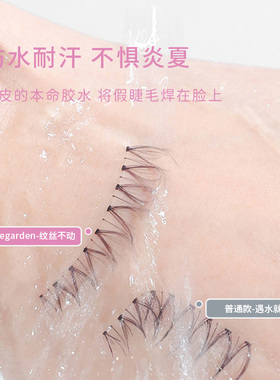 codegarden假睫毛胶水