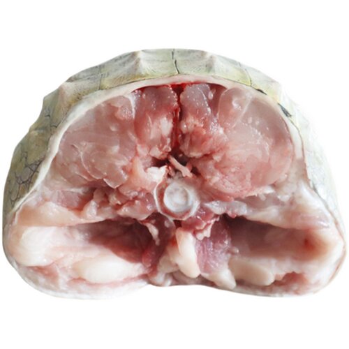 农场鳄鱼哥 新鲜现杀带皮去麟鳄鱼肉2斤 - 图3