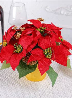 Red Christmas Flower Pots Tabletop Arrangement New Flowers R