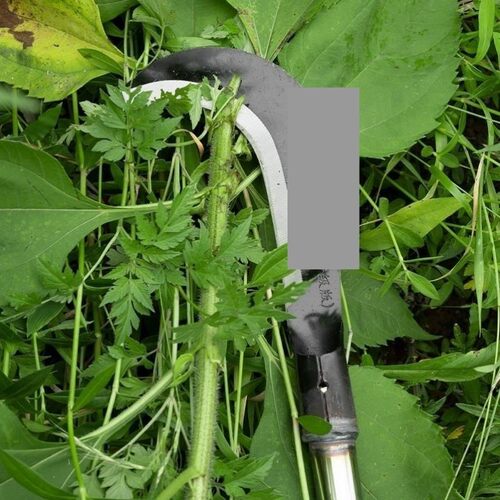 德国进口农用锰钢镰刀长柄割草镰长杆割草砍枝两用弯刀除草神器工 - 图2