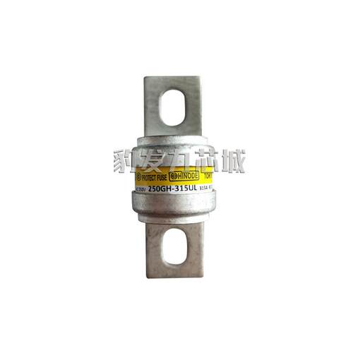250GH-200UL 250GH-250UL 250GH-315UL快速熔断器 保险丝现货 - 图0