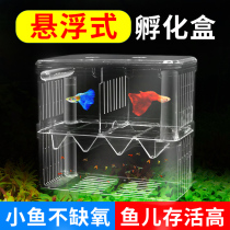 Fish tank isolation box peacock fish hatchbox tropical fish fighting fish small fry juvenile fish breeding box suspension-type breeding