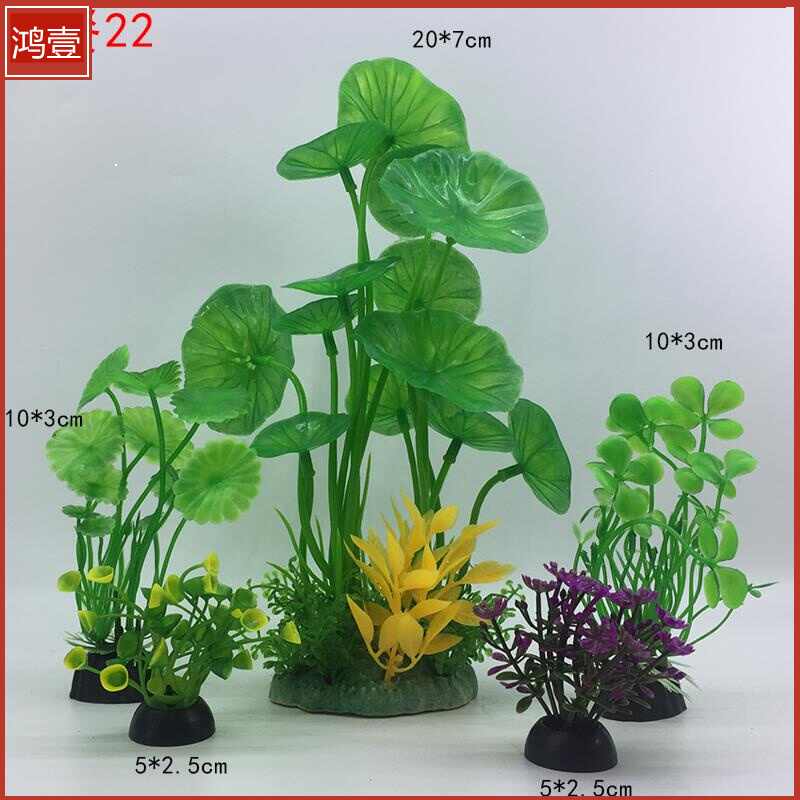 水草食用 新人首单立减十元 21年7月 淘宝海外