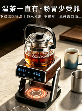 茶皇子不锈钢喷淋自动上水萃茶机