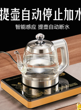 专用全自动底部电热单炉净水器