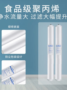20寸尖头滤芯售水机前四级用插口