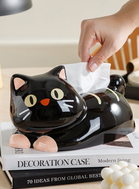 创意黑猫漂亮的抽纸盒2026新款高颜值客厅家用桌面轻奢高档纸巾盒