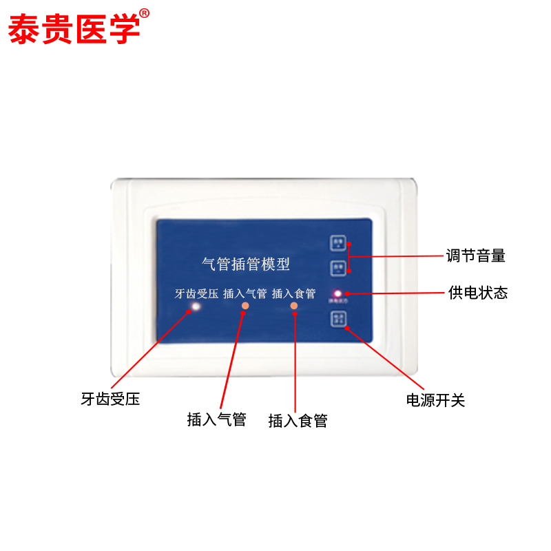 电子人体气管插管模型J5S口鼻咽成人气道急救医学护理培训人体模型 - 图2